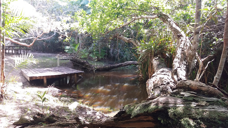 Reserva RPPN Rio do Brasil foto 1