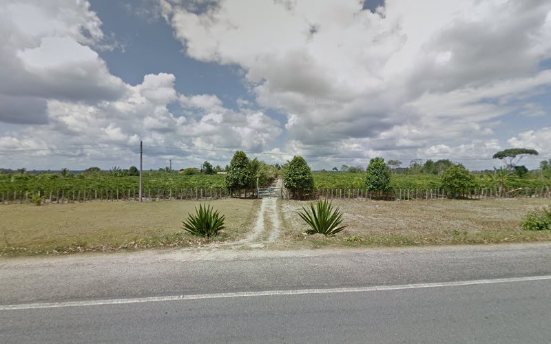 SÍTIO BARTH - PORTO SEGURO foto 1